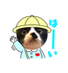 ミー介にゃおん3（個別スタンプ：1）