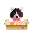 ミー介にゃおん3（個別スタンプ：8）