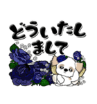 シーズー犬59『薔薇の妖精かな？』（個別スタンプ：13）