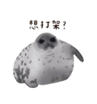 ワモンアザラシシェリーの日常（個別スタンプ：26）