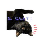 ヌッコとイッヌ（個別スタンプ：19）
