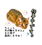 キジトラさん＋αの日常会話（個別スタンプ：2）