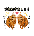 キジトラさん＋αの日常会話（個別スタンプ：10）