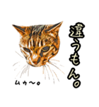 キジトラさん＋αの日常会話（個別スタンプ：39）