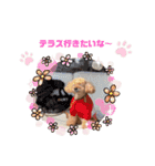 サラン24個セットvo1（個別スタンプ：14）