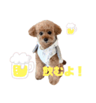 サラン24個セットvo1（個別スタンプ：16）