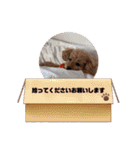 サラン24個セットvo1（個別スタンプ：18）