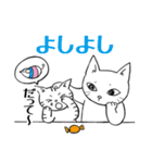 ねことこねこと（個別スタンプ：6）