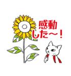 ねことこねこと（個別スタンプ：9）