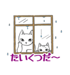 ねことこねこと（個別スタンプ：13）