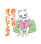 ねことこねこと（個別スタンプ：24）