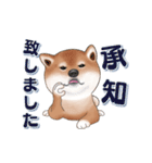 飛び出す柴犬（敬語編）（個別スタンプ：9）