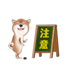 飛び出す柴犬（敬語編）（個別スタンプ：22）