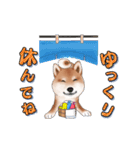 飛び出す柴犬（敬語編）（個別スタンプ：24）