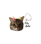 愉快なにゃんこたち②（個別スタンプ：5）