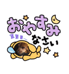 しーちゃんりんたんのスタンプ‎1（個別スタンプ：1）