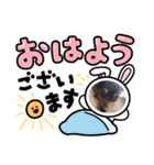 しーちゃんりんたんのスタンプ‎1（個別スタンプ：3）