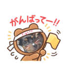 しーちゃんりんたんのスタンプ‎1（個別スタンプ：5）