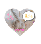 ぷぷちゃんの1日（個別スタンプ：6）