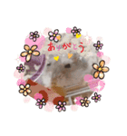 ぷぷちゃんの1日（個別スタンプ：8）