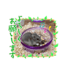 ぷぷちゃんの1日（個別スタンプ：12）