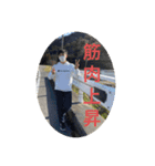 鳥中(伊藤組)（個別スタンプ：12）