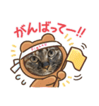 仲良し兄妹のぷぅとベティ*♬*̣̥（個別スタンプ：23）