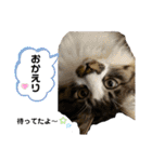 仲良し兄妹のぷぅとベティ*♬*̣̥（個別スタンプ：27）