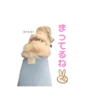 可愛いマカロンちゃん（個別スタンプ：20）