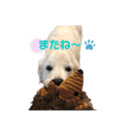 可愛いマカロンちゃん（個別スタンプ：22）