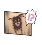 ちわわ！（個別スタンプ：9）