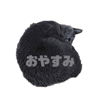 らいゆず（個別スタンプ：6）