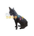 らいゆず（個別スタンプ：8）
