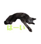 らいゆず（個別スタンプ：12）