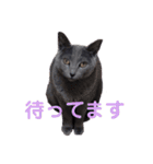 らいゆず（個別スタンプ：17）