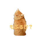 らいゆず（個別スタンプ：22）