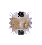 らいゆず（個別スタンプ：23）