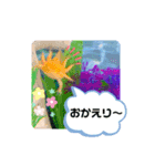 ゆかいなウーパールーパー*s*（個別スタンプ：1）
