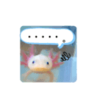 ゆかいなウーパールーパー*s*（個別スタンプ：5）
