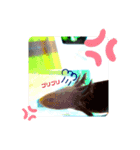ゆかいなウーパールーパー*s*（個別スタンプ：7）