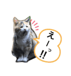 ニナちゃんスタンプ〜あいさつVer.〜（個別スタンプ：9）