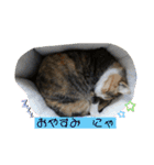 ニナちゃんスタンプ〜あいさつVer.〜（個別スタンプ：21）