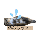 ニナちゃんスタンプ〜あいさつVer.〜（個別スタンプ：24）