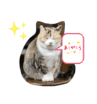 ニナちゃんスタンプ〜あいさつVer.〜（個別スタンプ：27）