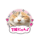 ニナちゃんスタンプ〜あいさつVer.〜（個別スタンプ：34）