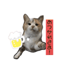 ニナちゃんスタンプ〜あいさつVer.〜（個別スタンプ：38）