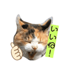 ニナちゃんスタンプ〜あいさつVer.〜（個別スタンプ：40）