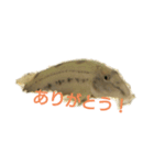 とにースタンプ（個別スタンプ：5）