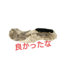 とにースタンプ（個別スタンプ：7）