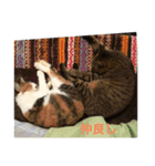 ムツとナナと仲間達（個別スタンプ：7）